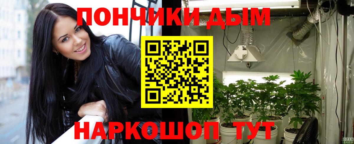 Каннабис конопля Кострома